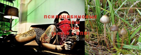 винт Балахна