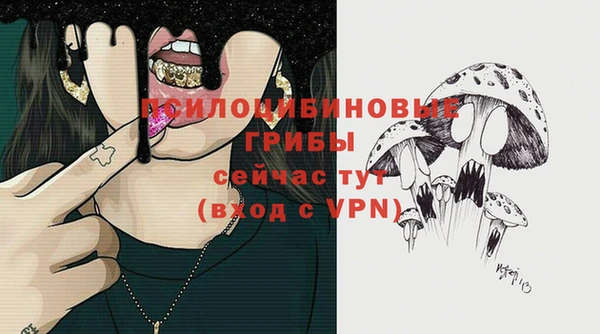 винт Балахна